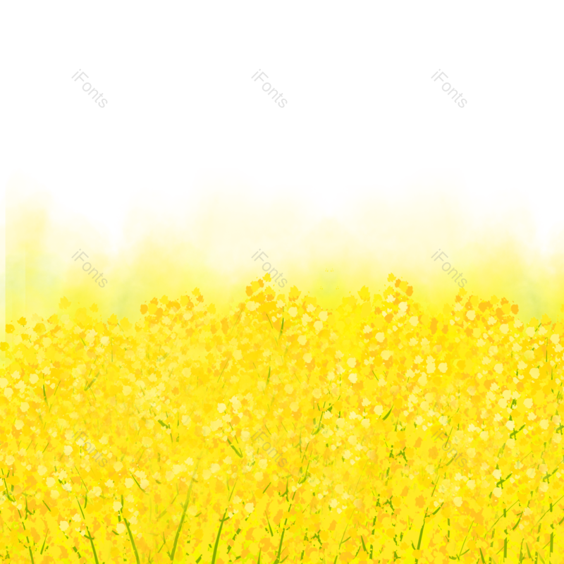 插画图片,素材元素,花朵PNG,鲜花免抠素材